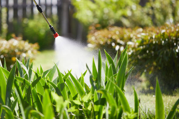 Tamper-Resistant Bait Stations for Rodents in Baker