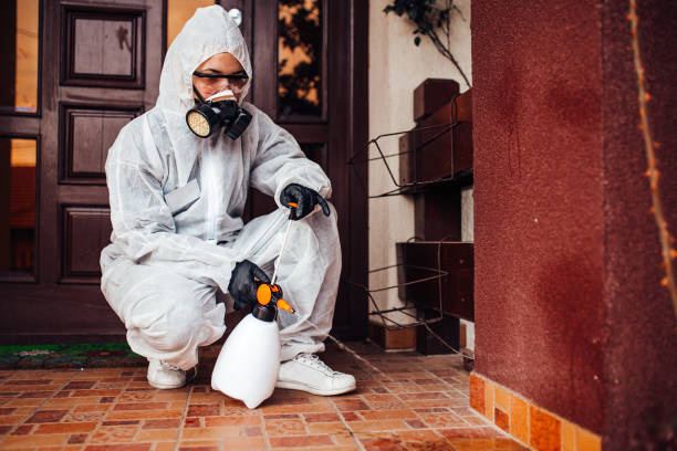 Attic and Crawl Space Rodent Treatment in Baker