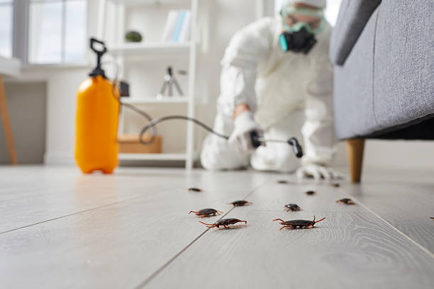 Commercial Rodent Management in Baker
